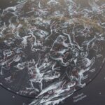 Apakah Horoskop Cocok Dengan Peta Bintang Sebenarnya?