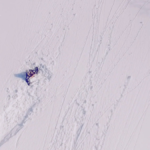 Pisces Dan Samudra Bintang Fakta Astronomi Di Balik Ramalan