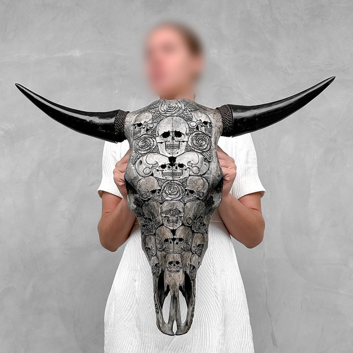 Casserole avec Couvercle Taurus KCK3018 Ø 18 cm | Leroy Merlin Taurus: Banteng Langit dalam Perspektif Astronomi